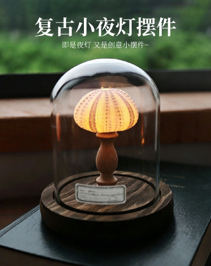 复古贝壳海胆海螺灯小夜灯摆件生日礼物卧室装饰复古小夜灯摆件